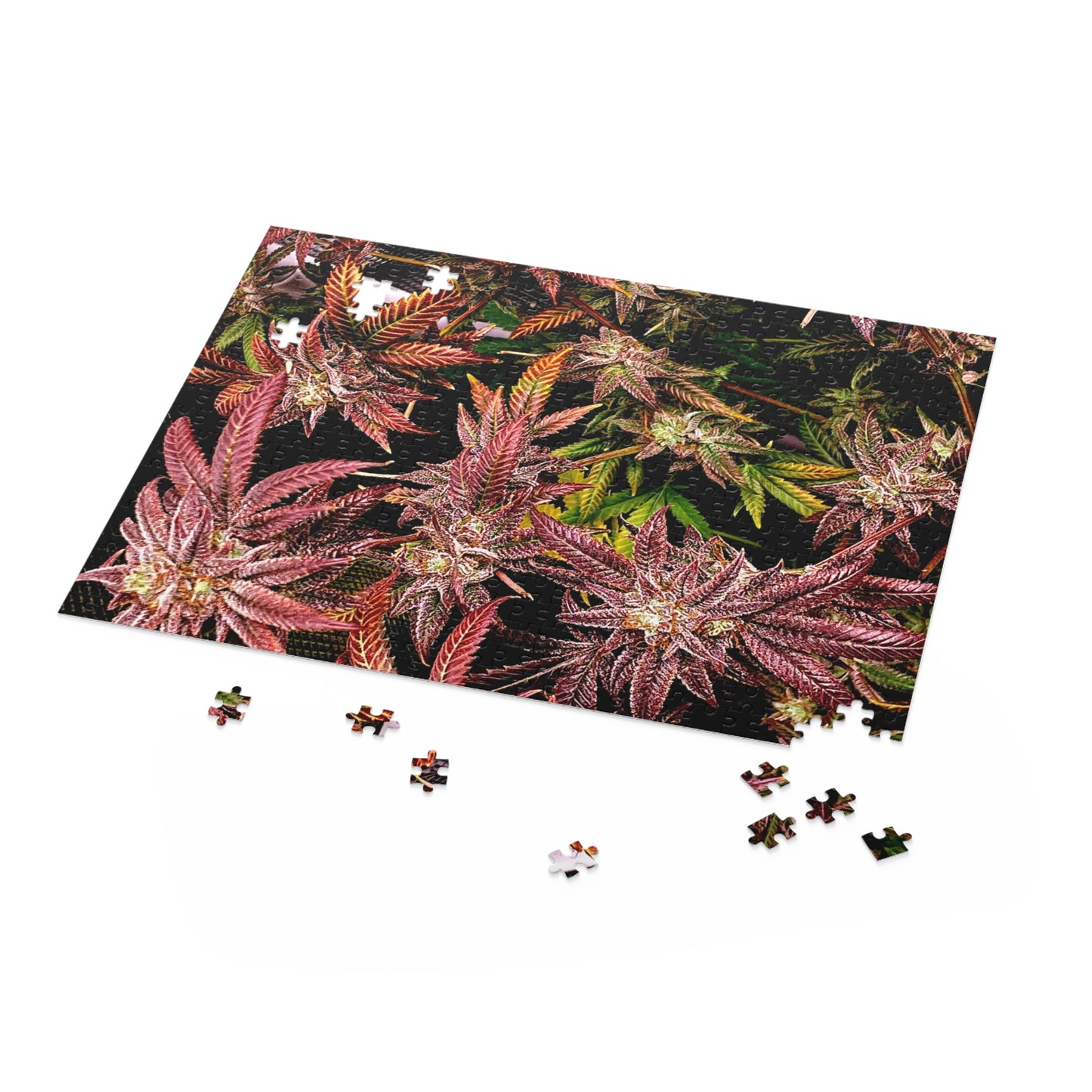 Puzzle (120, 252, 500-Piece)